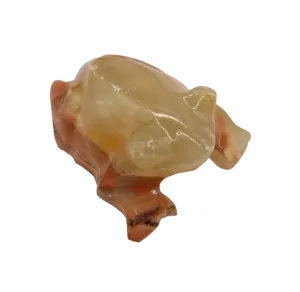 Žába
